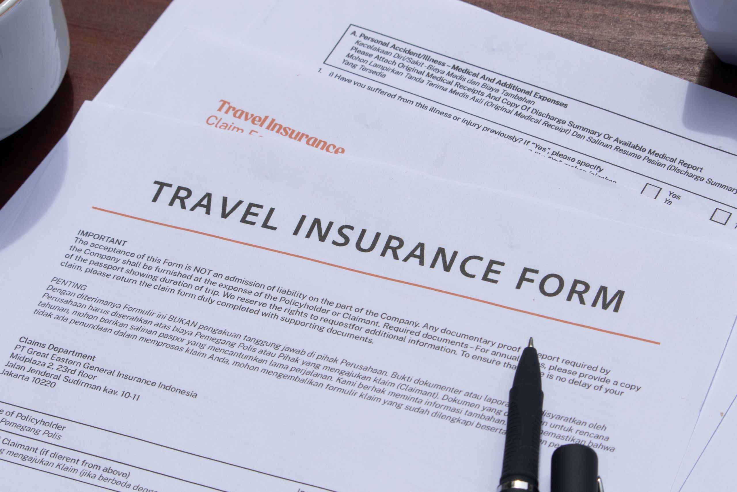 domestic travel insurance